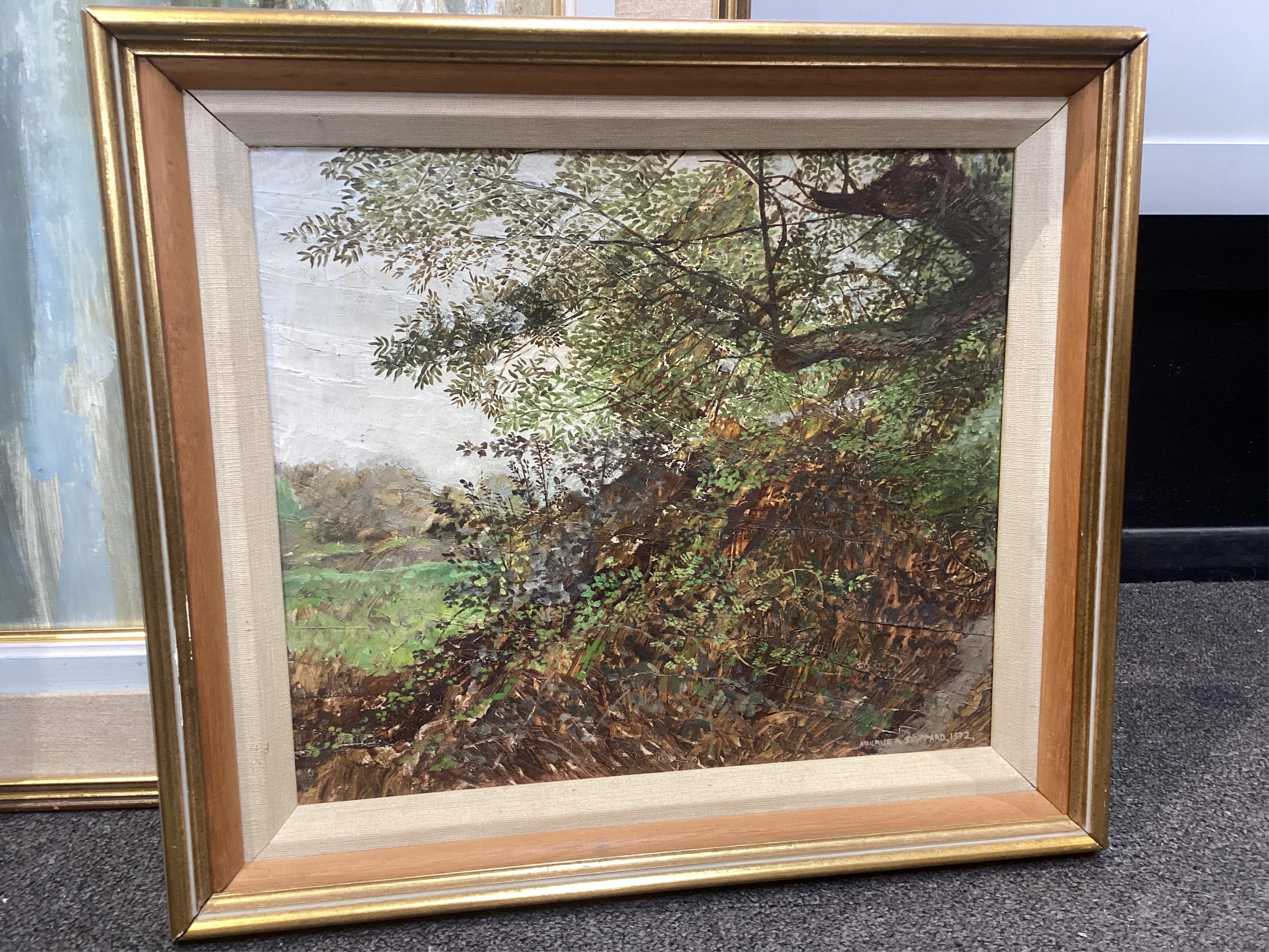 Maurice Sheppard (b.1947), oil on board, 'In Northgate Mill Wood', signed and dated 1972, 39.5 x 34cm. Condition - fair to good